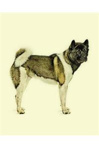 Akita