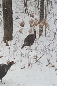 Winter Journal Wild Turkeys Snowstorm