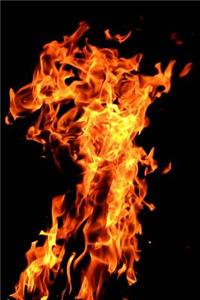 Flames of the Fire Journal