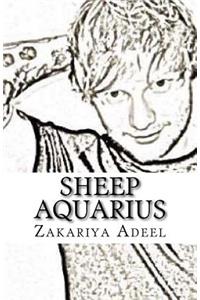 Sheep Aquarius