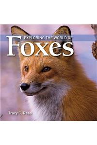 Exploring the World of Foxes