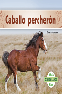 Caballo Percherón (Clydesdale Horses)