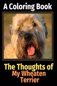 Thoughts of My Wheaten Terrier