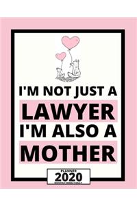 I'm Not Just A Lawyer I'm Also A Mother
