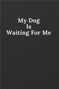 My Dog Is Waiting For Me