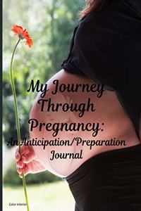 My Journey Through Pregnancy