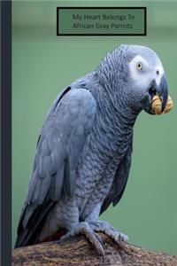 My Heart Belongs to African Gray Parrots