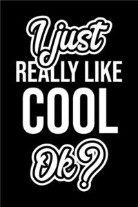 I Just Really Like Cool Ok?