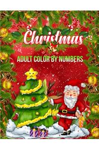 Christmas Adult Color By Numbers