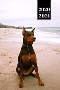 Doberman Dog Calendar Week Planner 2020 / 2021 - Rough Sea