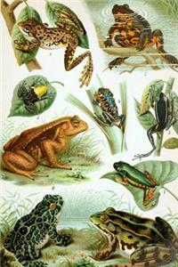 Frog Collage Painting Journal