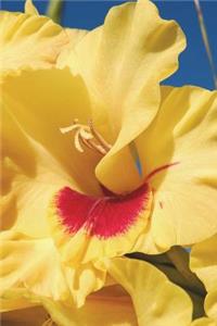 Gladiolus Flowers and Clear Blue Sky Journal