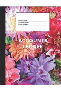 Accounts Ledger