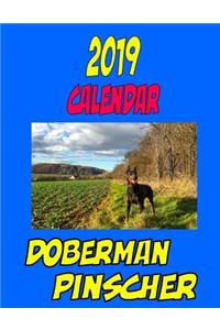 2019 Calendar Doberman Pinscher: Dog calendar, password log, personal contacts, notes, to do list and more