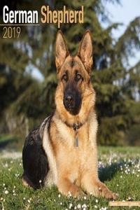 German Shepherd Calendar 2019
