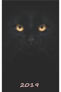 Cat Daily Planner 2019