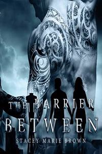 Barrier Between Lib/E