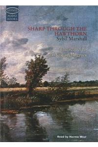 Sharp through the Hawthorn