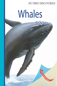 Whales