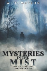 Mysteries in the Mist