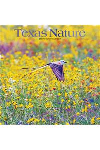 Texas Nature 2021 Square Foil
