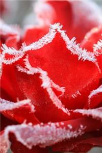 Frozen Red Rose Journal