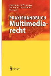 Praxishandbuch Multimediarecht