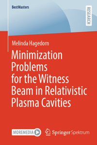 Minimization Problems for the Witness Beam in Relativistic Plasma Cavities