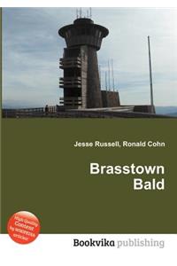 Brasstown Bald