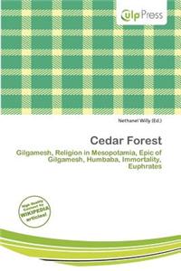 Cedar Forest