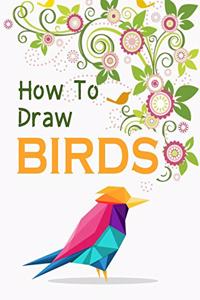 How to Draw Birds