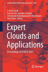 Expert Clouds and Applications