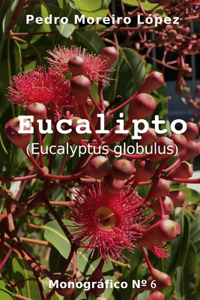 Eucalipto