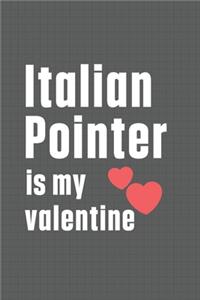 Italian Pointer is my valentine