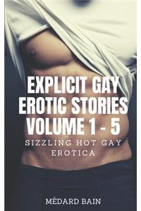 Explicit Gay Erotic Stories Volume 1 - 5