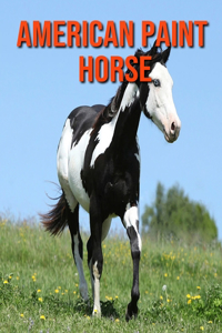 American Paint Horse: Childrens Book Amazing Facts & Pictures about American Paint Horse