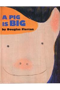 A Pig is Big