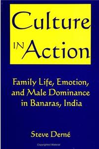 Culture in Action: Family Life, Emotion, and Male Dominance in Banaras, India