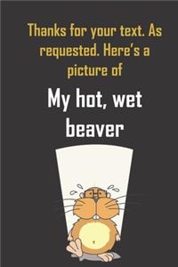 Thanks for your text. As requested, here's a picture of my hot, wet beaver.