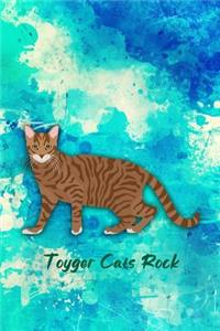 Toyger Cats Rock
