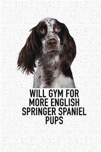 Will Gym for More English Springer Spaniel Pups