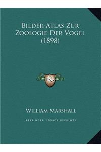 Bilder-Atlas Zur Zoologie Der Vogel (1898)