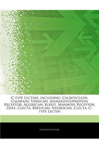 Articles on C-Type Lectins, Including: Calreticulin, Calnexin, Versican, Asialoglycoprotein Receptor, Aggrecan, Klrd1, Mannose Receptor, Olr1, Clec7a,