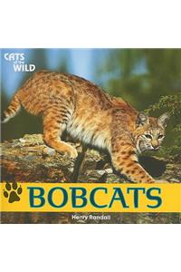 Bobcats