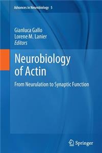 Neurobiology of Actin