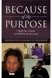 Because of My Purpose