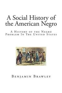 A Social History of the American Negro