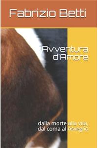 Avventura d'Amore