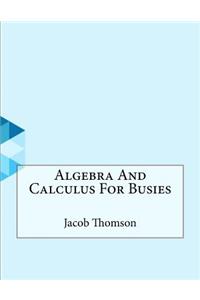 Algebra And Calculus For Busies