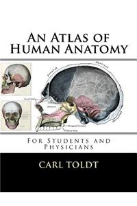 Atlas of Human Anatomy